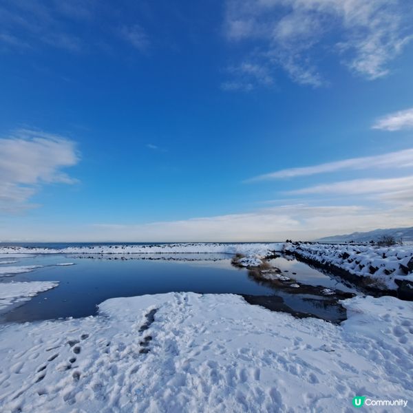 北海道旅遊🥳超高質民宿青塚食堂😍必食新鮮刺身海膽美食😚