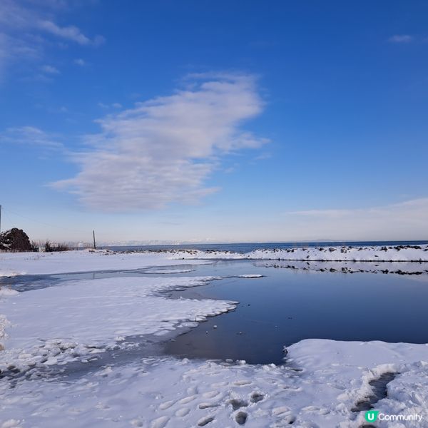 北海道旅遊🥳超高質民宿青塚食堂😍必食新鮮刺身海膽美食😚