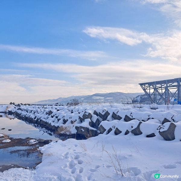 北海道旅遊🥳超高質民宿青塚食堂😍必食新鮮刺身海膽美食😚