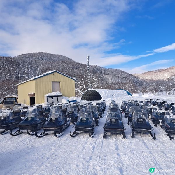 北海道旅遊🥳喜茂別路線雪場❄️自駕動力雪橇體驗分享😍