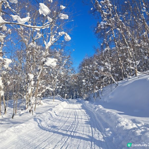 北海道旅遊🥳喜茂別路線雪場❄️自駕動力雪橇體驗分享😍