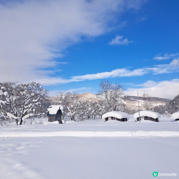 北海道旅遊🥳喜茂別路線雪場❄️自駕動力雪橇體驗分享😍
