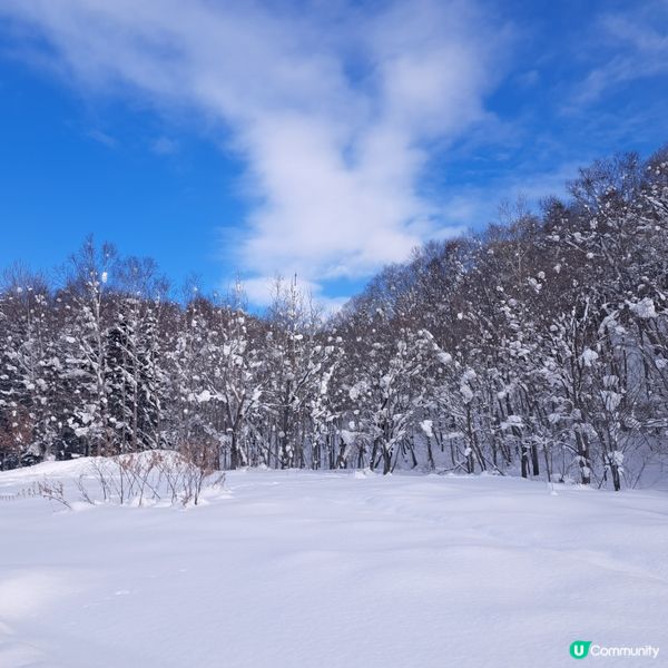 北海道旅遊🥳喜茂別路線雪場❄️自駕動力雪橇體驗分享😍