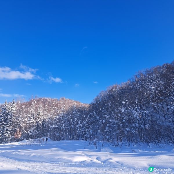北海道旅遊🥳喜茂別路線雪場❄️自駕動力雪橇體驗分享😍