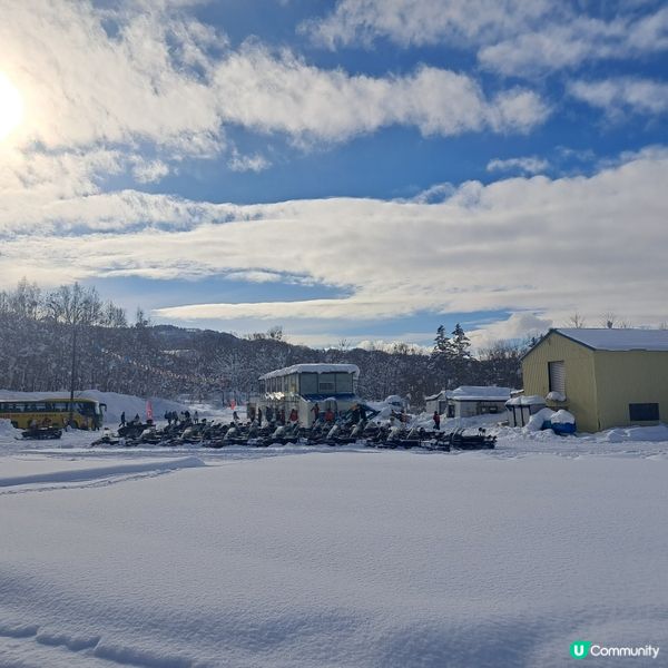 北海道旅遊🥳喜茂別路線雪場❄️自駕動力雪橇體驗分享😍