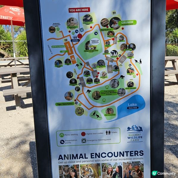 Ballarat Wildlife Park。親親大自然，同...
