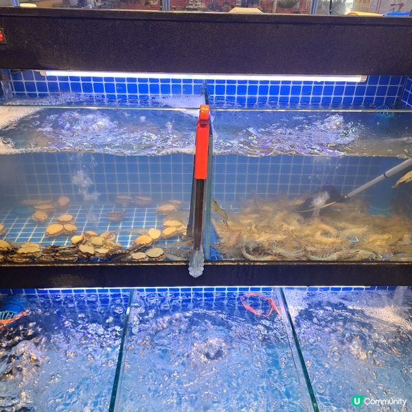 人民幣$99蚊任食海鮮火鍋😍有鮮蠔鮑魚等