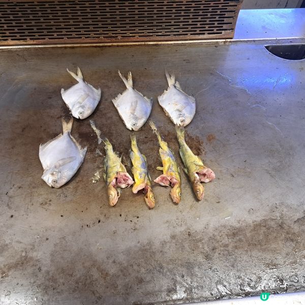 人民幣$99蚊任食海鮮火鍋😍有鮮蠔鮑魚等