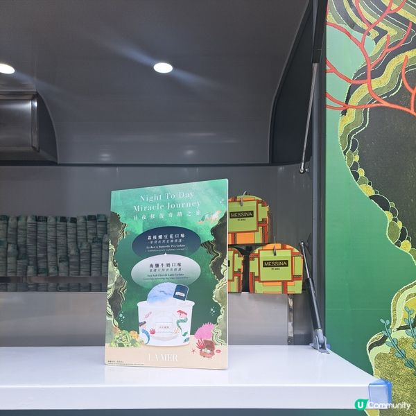 奇蹟之旅!日夜修護!💫大館見!