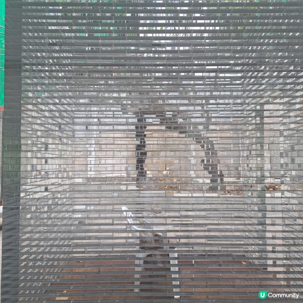 奇蹟之旅!日夜修護!💫大館見!