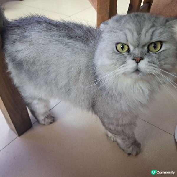 ⭐️正果老街吃喝玩樂食馳名餃子😍