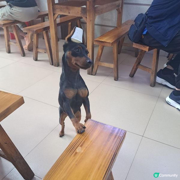 ⭐️正果老街吃喝玩樂食馳名餃子😍