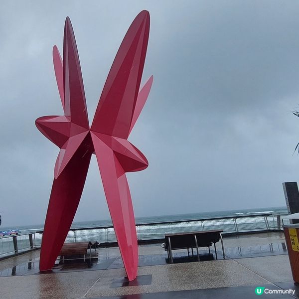 澳洲昆士蘭黃金黃岸～沖浪好地方🏄‍♂️🏄‍♀