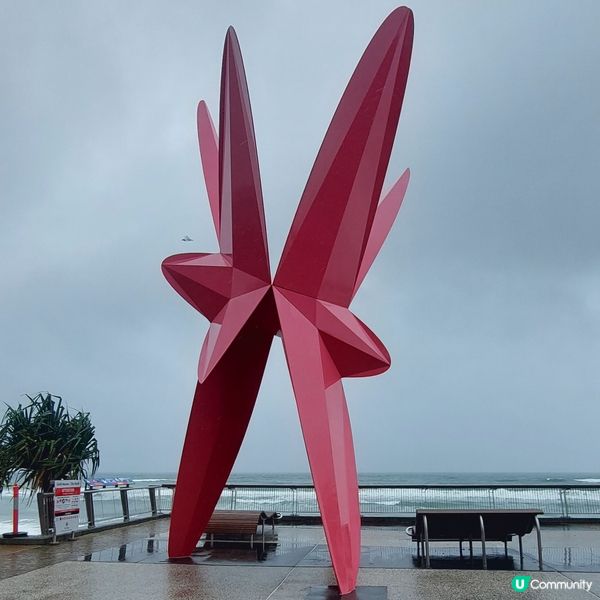 澳洲昆士蘭黃金黃岸～沖浪好地方🏄‍♂️🏄‍♀