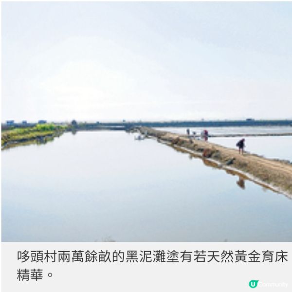 直擊福建哆頭蟶節開鑼 莆田日與夜 品嘗經典美食原味道