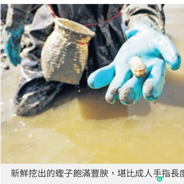 直擊福建哆頭蟶節開鑼 莆田日與夜 品嘗經典美食原味道