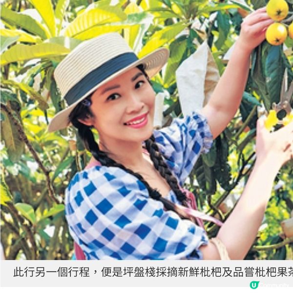 直擊福建哆頭蟶節開鑼 莆田日與夜 品嘗經典美食原味道