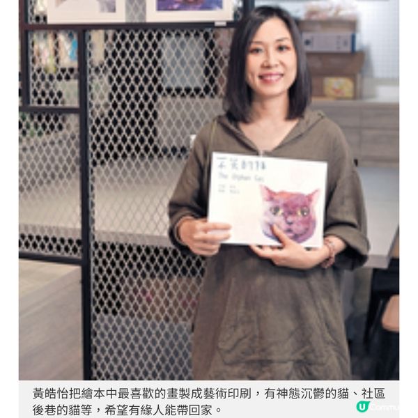 貓奴創作不笑貓繪本畫不賣萌棄養貓慰藉人心