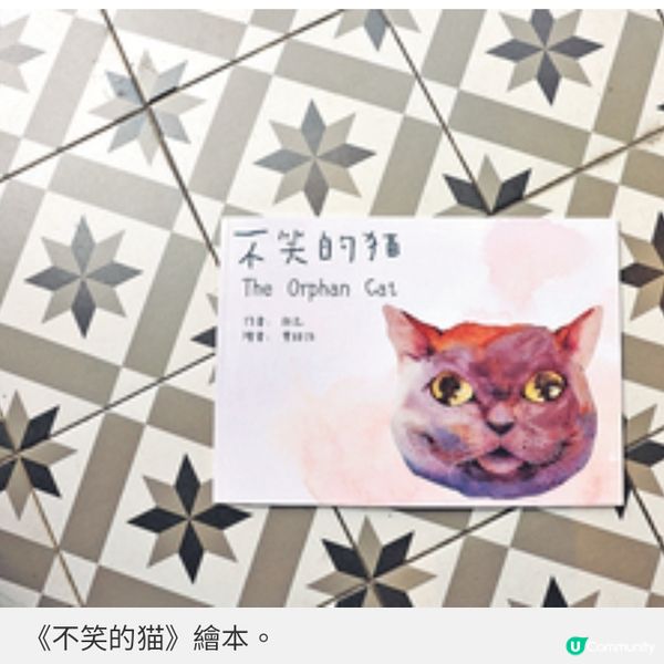 貓奴創作不笑貓繪本畫不賣萌棄養貓慰藉人心