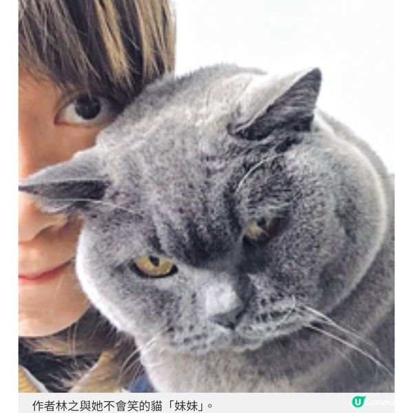 貓奴創作不笑貓繪本畫不賣萌棄養貓慰藉人心