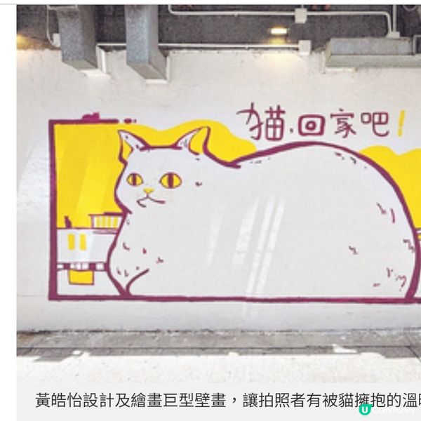 貓奴創作不笑貓繪本畫不賣萌棄養貓慰藉人心