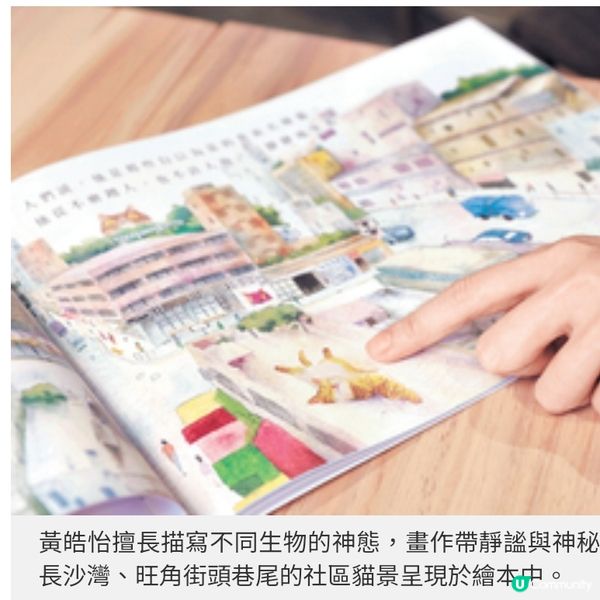 貓奴創作不笑貓繪本畫不賣萌棄養貓慰藉人心