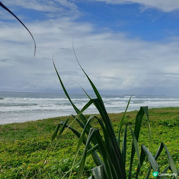 澳洲昆士蘭黃金黃岸～沖浪好地方🏄‍♂️🏄‍♀