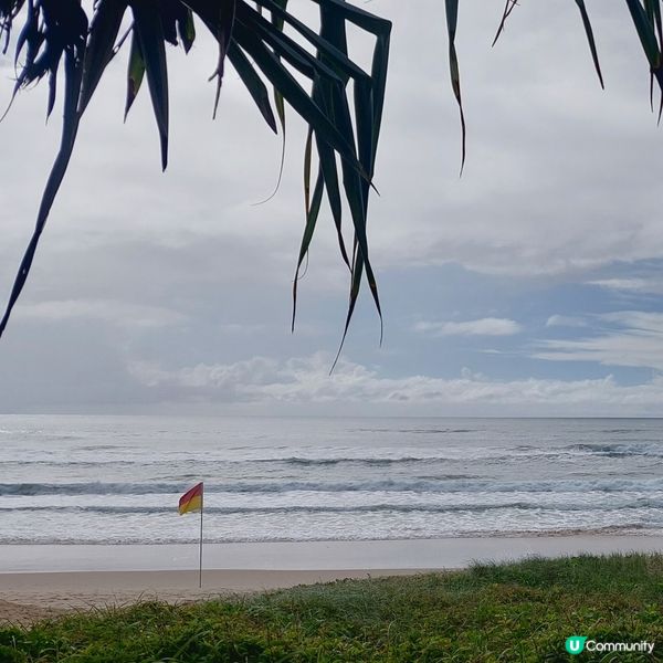 澳洲昆士蘭黃金黃岸～沖浪好地方🏄‍♂️🏄‍♀