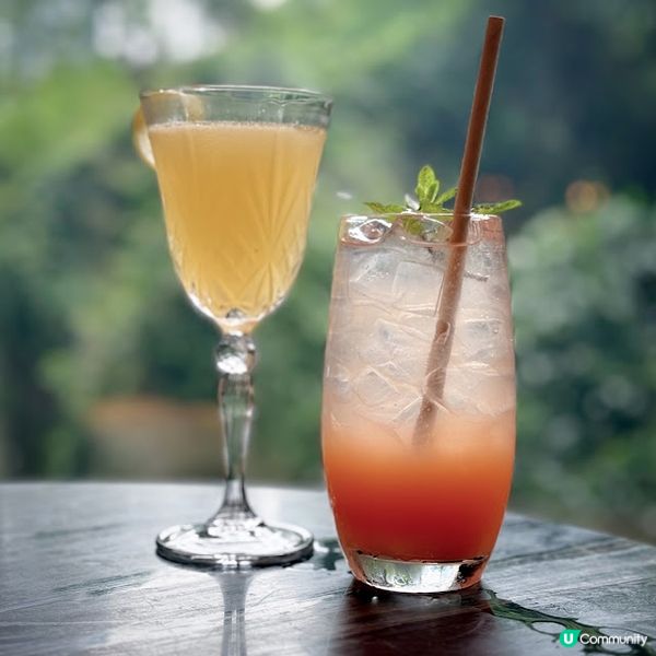 迷人花香下午茶@Ammo