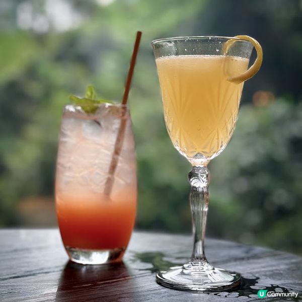 迷人花香下午茶@Ammo