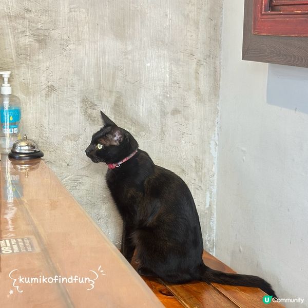 晉家門炭燒工房：太子懷舊小店，貓貓陪你食串燒 🐱🔥