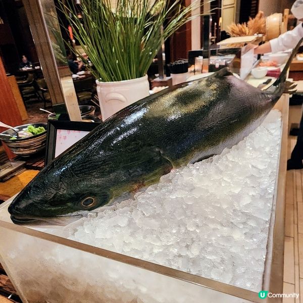 🔥尖沙咀酒店自助餐 🦞🦀🍣  抵食推介👍👍