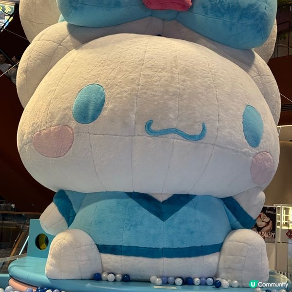 🐶 超大肉桂狗打卡位！