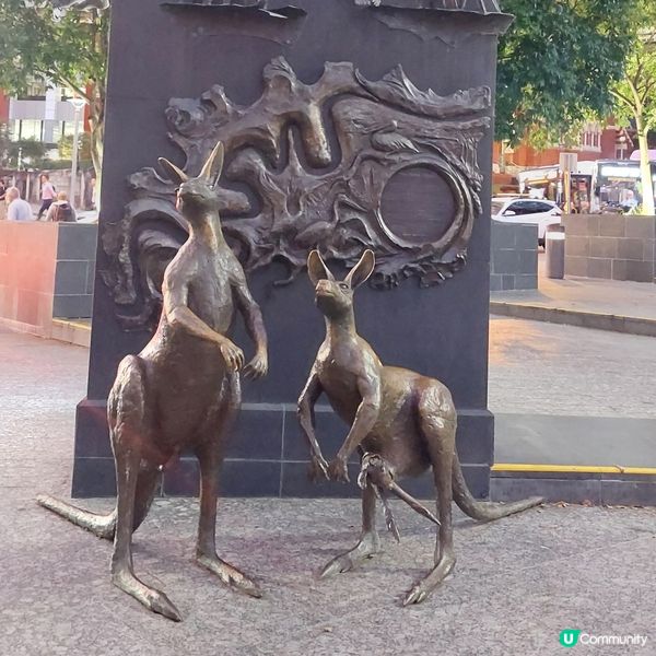 布里斯班市中心🏙🌃🌆