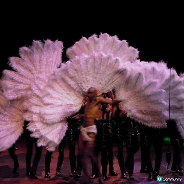 澳門必看水舞間🤩💯