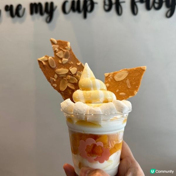 健康低脂希臘乳酪雪糕🥰