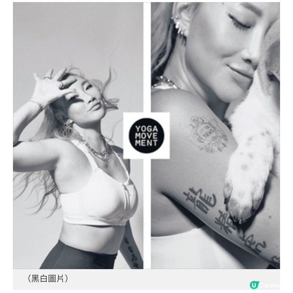 愛協「Fit for Paws」推行人寵運動