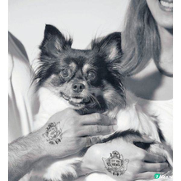 愛協「Fit for Paws」推行人寵運動