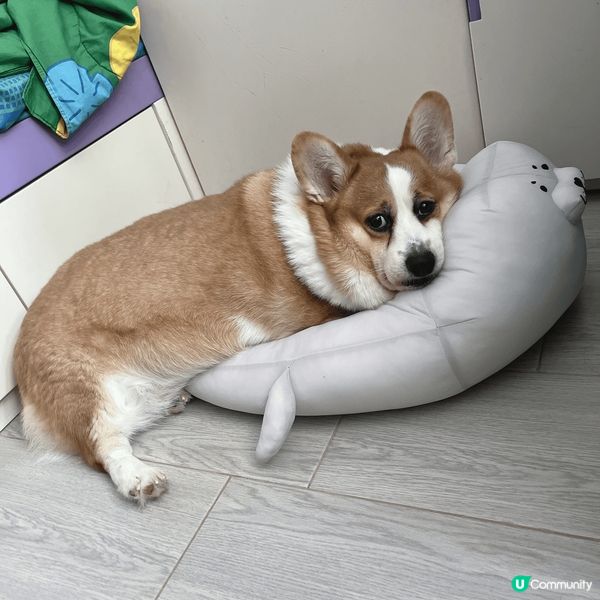 我媽媽成日都好鍾意影我最醜樣嘅時候，佢話我咁樣好得意喎😑#主...