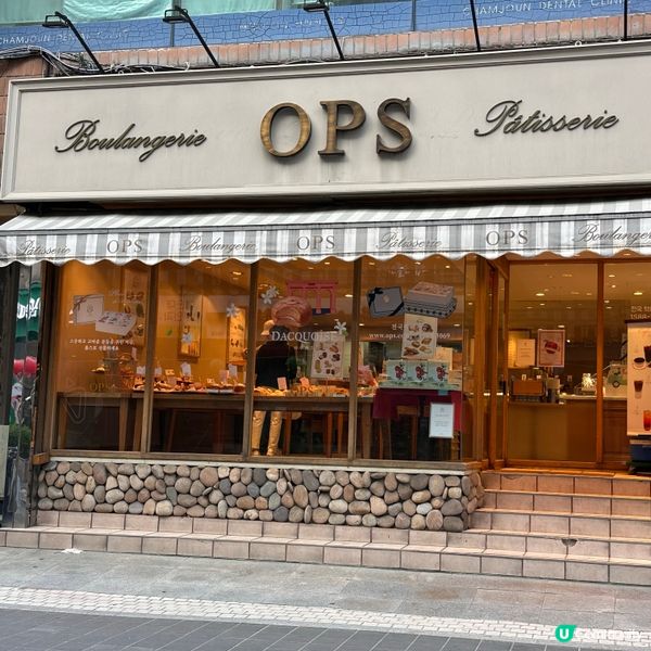 🇰🇷 釜山三大麵包店之一！OPS必食芝士蛋糕！超驚喜🥰！