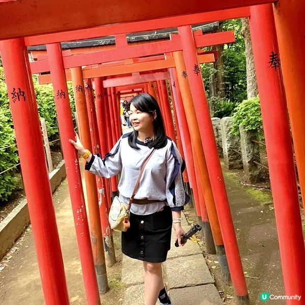 🔥人氣杜鵑球海😜配千本鳥居~正‼️👍