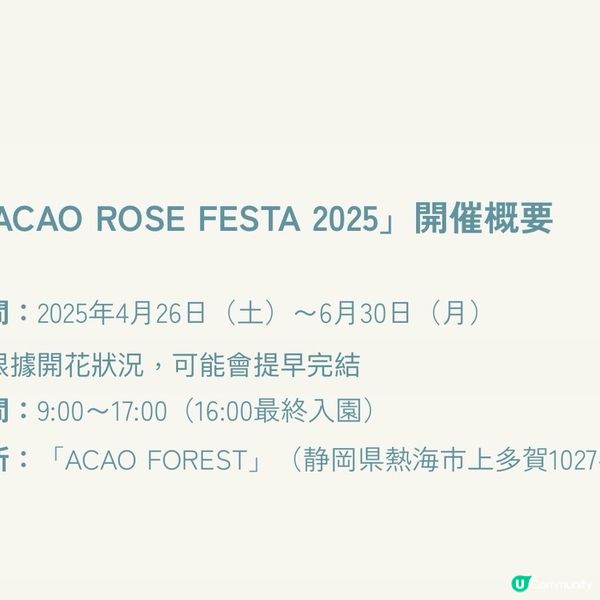 像極了童話森林中的玫瑰盛宴🌹