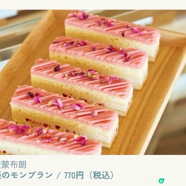 像極了童話森林中的玫瑰盛宴🌹