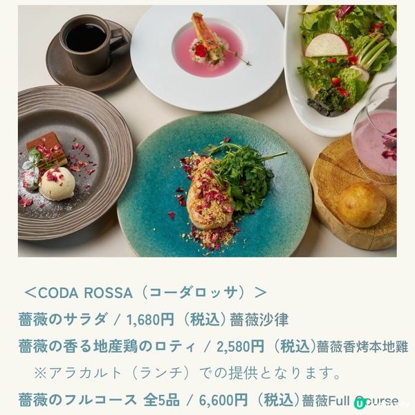 像極了童話森林中的玫瑰盛宴🌹