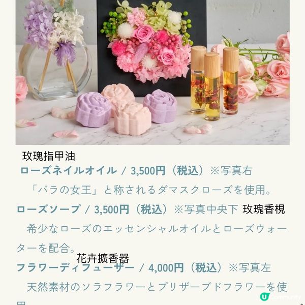 像極了童話森林中的玫瑰盛宴🌹