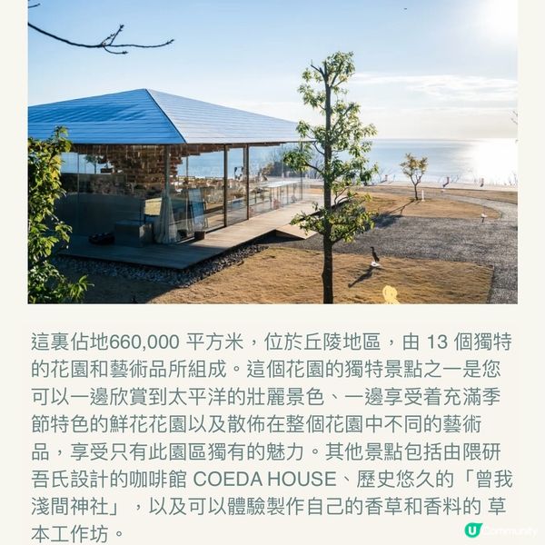 像極了童話森林中的玫瑰盛宴🌹