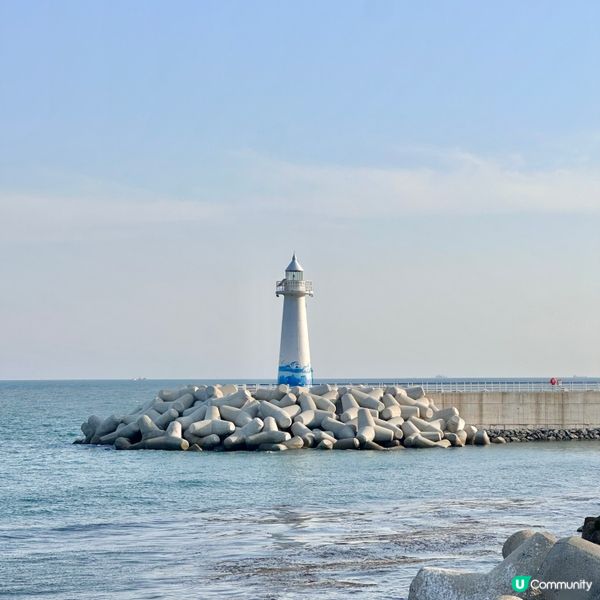 🇰🇷韓國釜山海雲台清幽海邊散步點：청사포（靑沙浦）