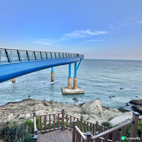 🇰🇷釜山靑沙浦瞭望台：刺激透明玻璃步道體驗