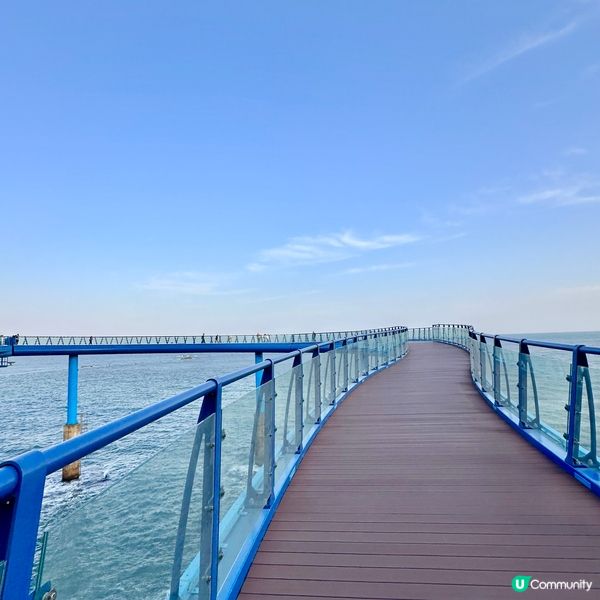 🇰🇷釜山靑沙浦瞭望台：刺激透明玻璃步道體驗