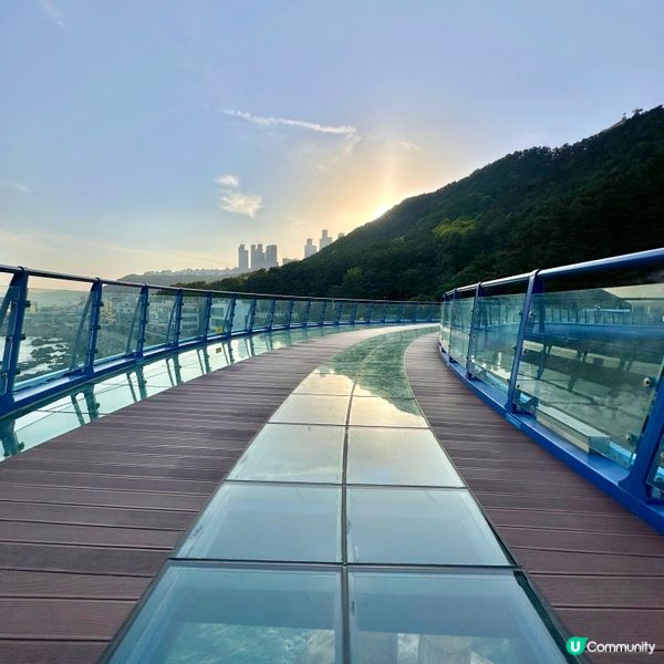 🇰🇷釜山靑沙浦瞭望台：刺激透明玻璃步道體驗